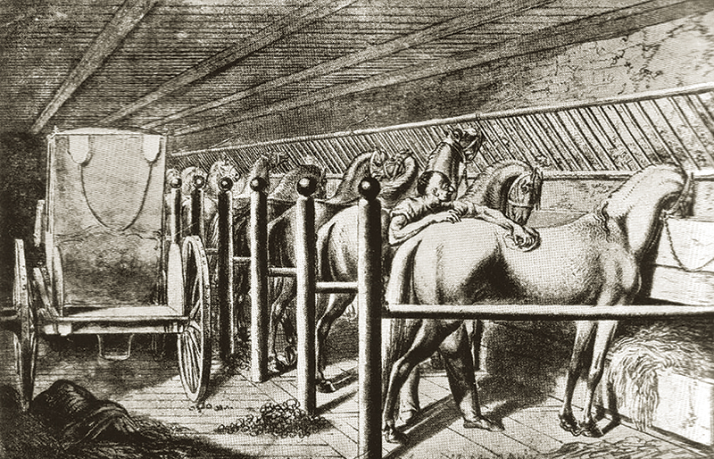 design Horse Stall layout, Eileen Wheeler, Ph.D., Professor of Agricultural Engineering, dimensions of horse stall, ventilating horse stall, equine respiratory, lights for horse stall, flooring for horse stall