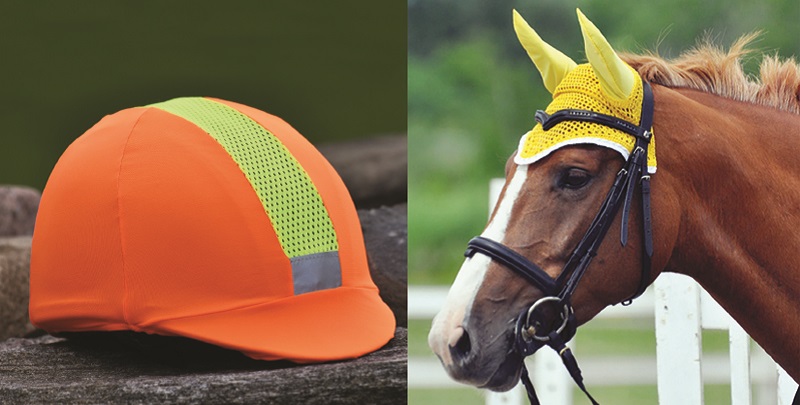 horse riding accidents, should i wear a riding helmet, how to safely ride a horse, gear for horse riding, beginner rider equipment, concussion horse riding, insurance for horse riding