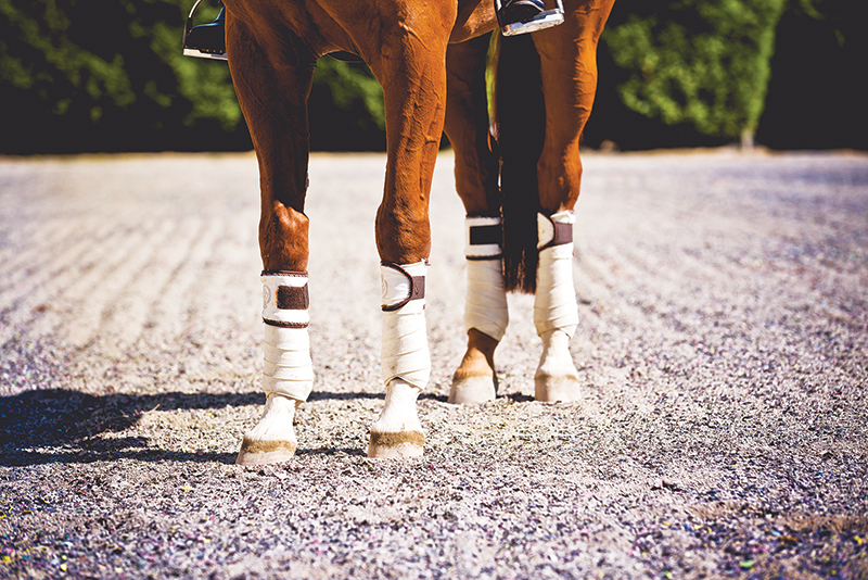 proper riding arena footing, ideal riding arena surfaces, White Paper Equestrian Surfaces, equestrian surfaces, riding arena irrigation systems, riding arena crystalline silica dust