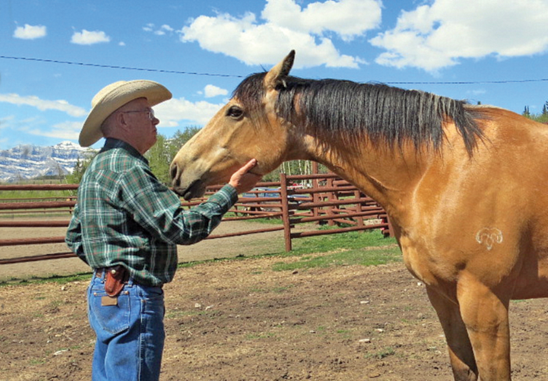 trail riding canada, horseback riding canada, ya ha tinda working horse ranch, camping with hores canada
