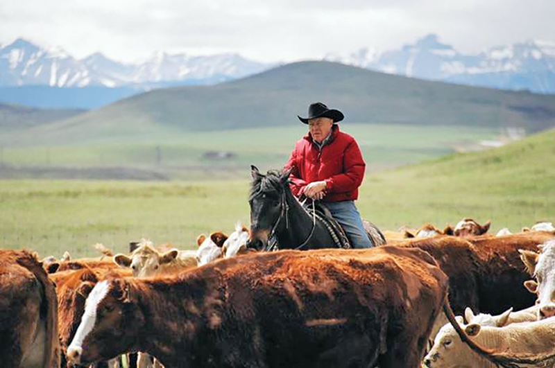 who are some of canada's horse industry builders? John Scott, Cara Whitham, Jack Pemberton, Alfred Fletcher, Guy Weadick, Dr. Sherman Olson, Dr. Gillian Lawrence, David Esworthy, Gayle Ecker, Bill Collins, Peter Cameron, Faith Berghuis, Ian Miller, ron southern, Marg Southern