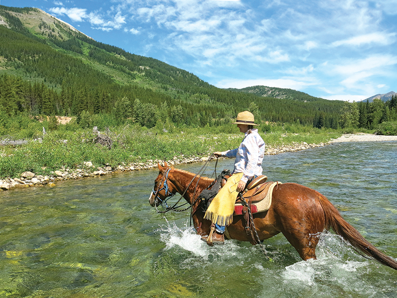 horse camping tips, some ways to improve horse camping, go camping with your horse