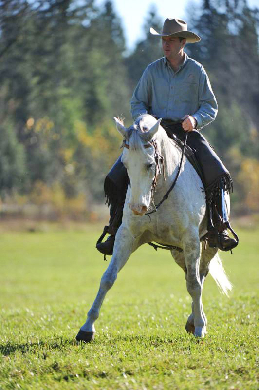 Jonathan Field pushy horse, how do i control my horse, how do i stop bad horse behaviour, horse to behave, hold and wait horse, horse yield