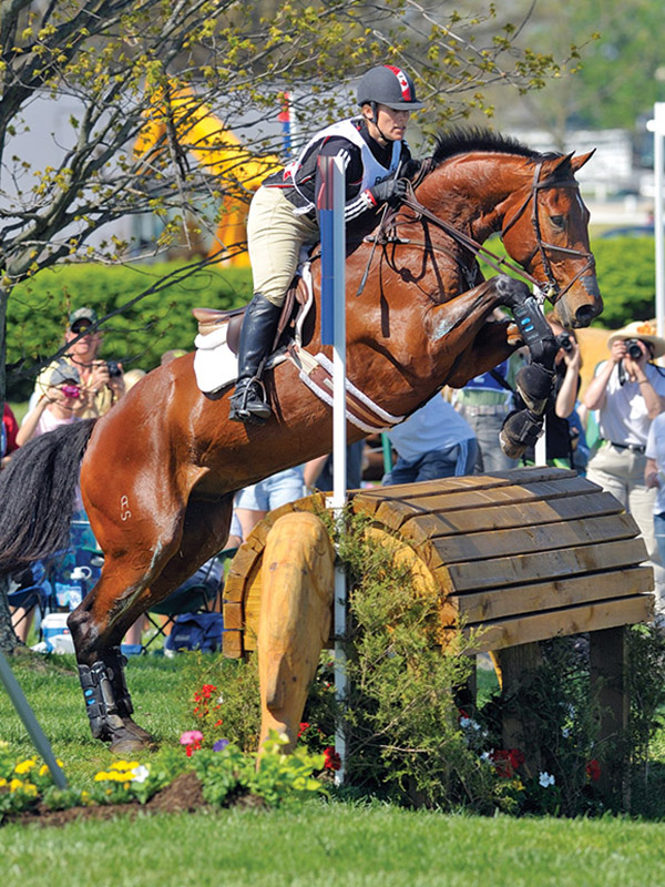 Inspiring horse stories, equestrian Juliet Graham, equestrian Nick Hlmes-Smith, equestrian Sandra Donnelly, equestrian Bruce Mandeville, equestrian Rob Stevenson
