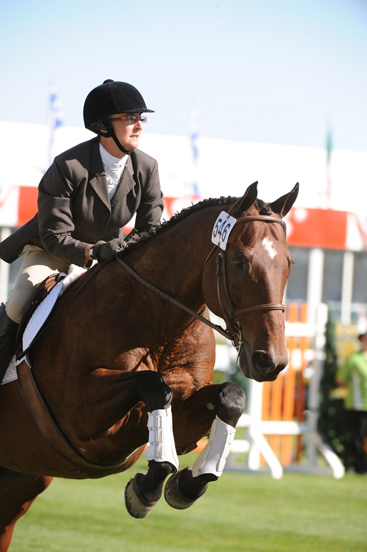American Quarter Horse, CQHA, AQHC, Canadian Quarter Horse, characteristics quarter horse