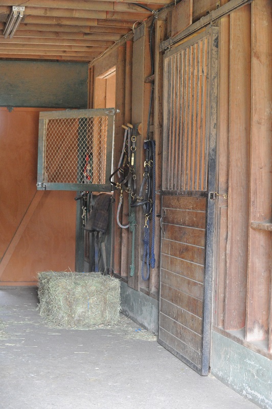 horse digestive system, recovering from horse colic, how to tell if horse has colic, treating colic, kentucky equine research, equine enteroliths, horse ate too much grain and grass