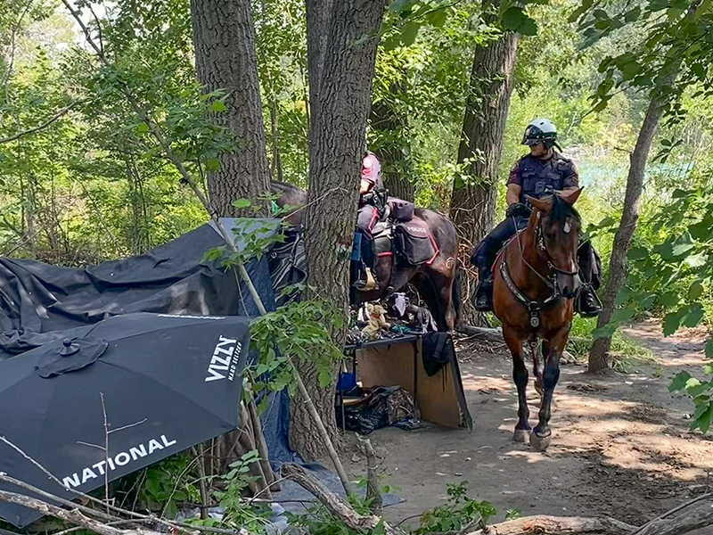 Robin Koltusky leading innovation in mounted policing and horse training with the Calgary Police Service Mounted Patrol Team