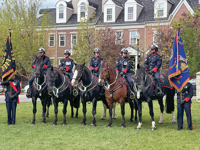 Robin Koltusky leading innovation in mounted policing and horse training with the Calgary Police Service Mounted Patrol Team