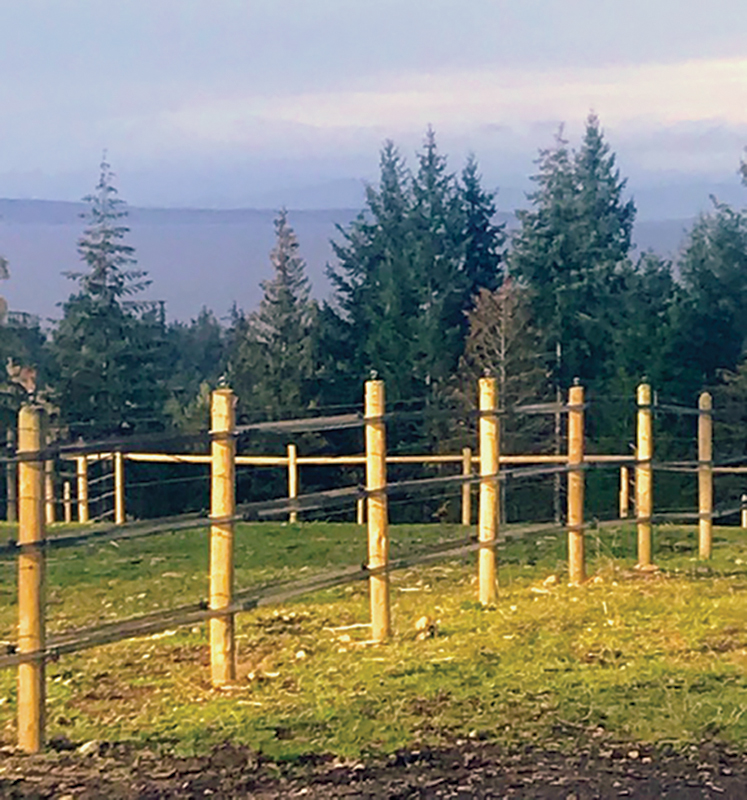 what is the safest type of horse fencing? What is most functional type of horse fencing? different types of horse fencing, vinyl horse fencing, electric horse fencing, polywire horse fencing, tape horse fencing