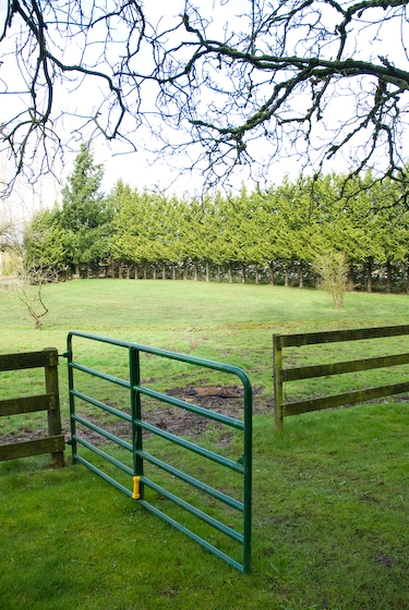 eco-friendly horse, rotating horse grazing, trail riding responsibly, manure composting horse, langley environmental partners society