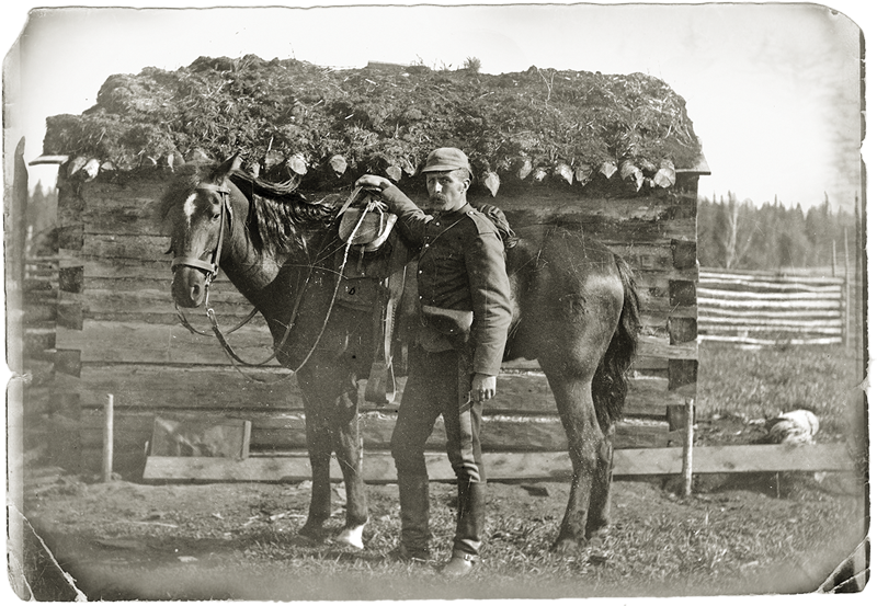 history of horses in canada, canadian horse history, Sir Donald Smith, Edward Mallandaine, canadian equine history