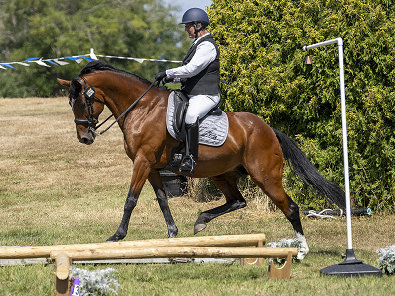 sarah bradley working equitation canada, Tania Millen, Working Equitation Canada, WECan, working equitation, Working Equitation World Championships, WAWE, Canada working equitation team, Canadian working equitation, equestrian sport Canada