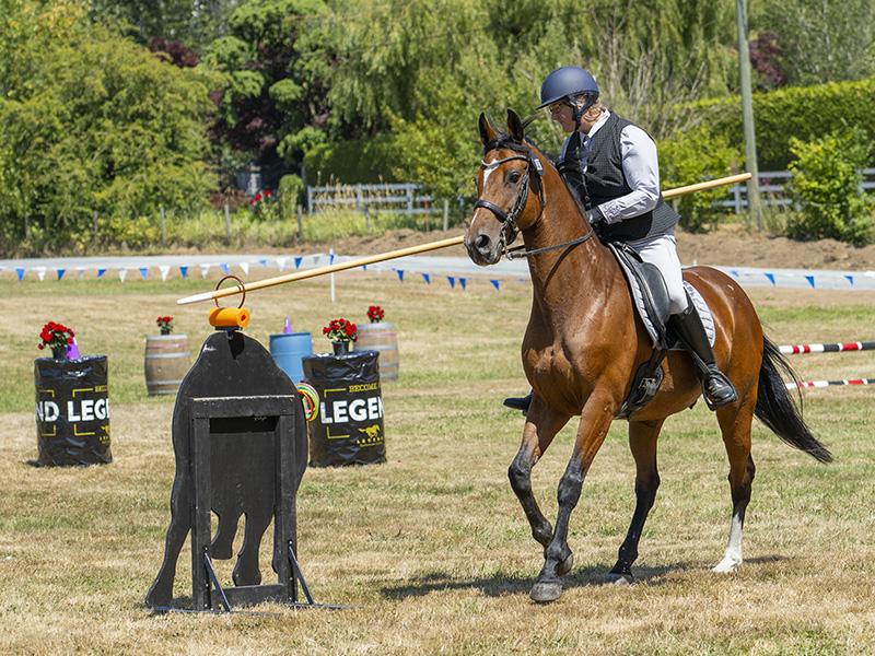 Tania Millen, Working Equitation Canada, WECan, working equitation, Working Equitation World Championships, WAWE, Canada working equitation team, Canadian working equitation, equestrian sport Canada