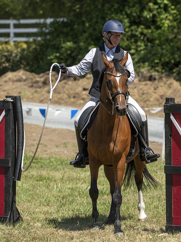 Tania Millen, Working Equitation Canada, WECan, working equitation, Working Equitation World Championships, WAWE, Canada working equitation team, Canadian working equitation, equestrian sport Canada