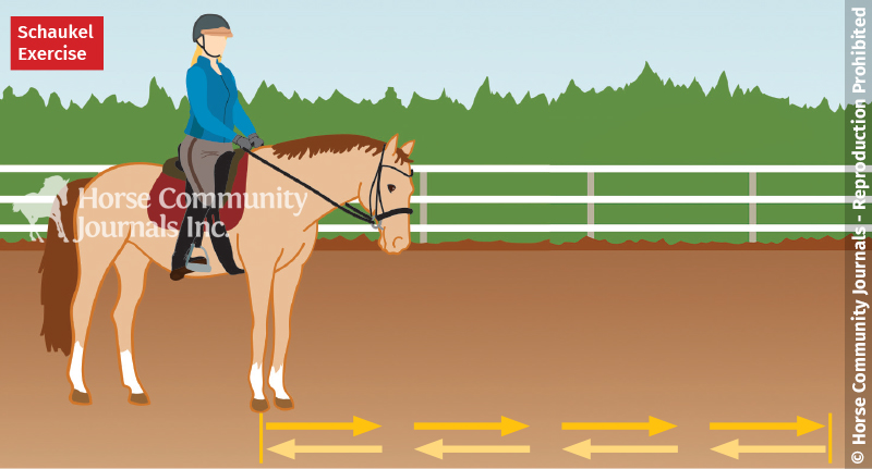 horse exercises for lightness, lateral poll flexion exercises, schaukel horse training, jec ballou horse trainer, ground pole exercises horses, improving contact with horses