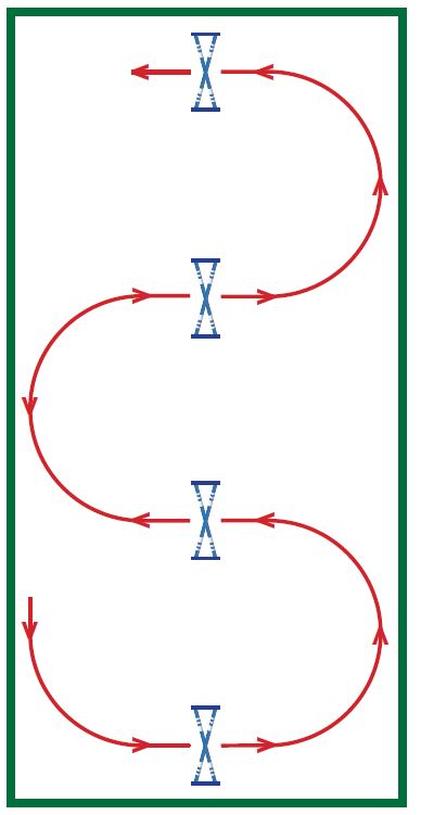 liz ashton on show jumping and supple jumping horses. Exercise to help horse stay supple, serpentine over fence, jumping horse on a circle, fences horses, flatwork horses