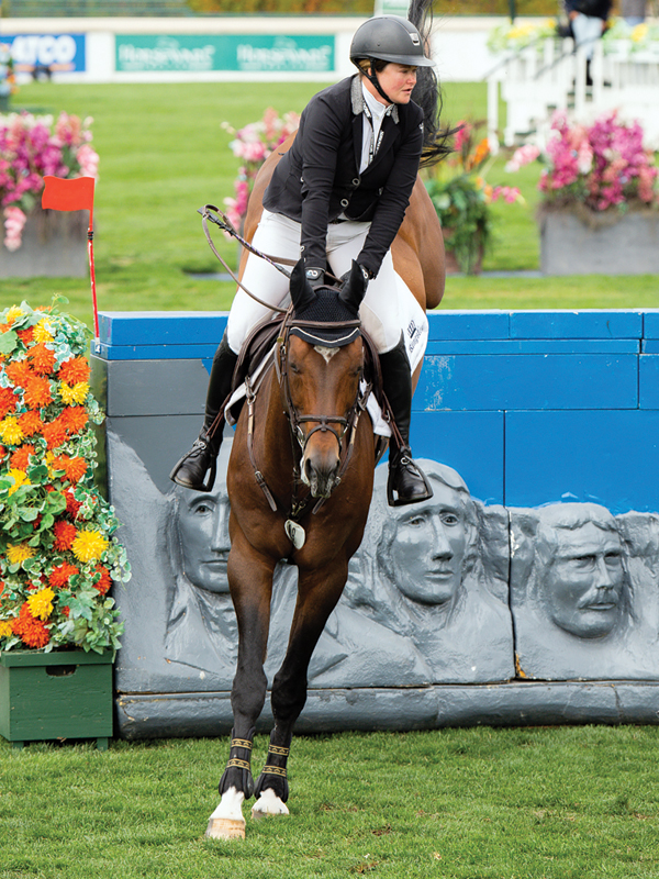 horse sport syndicates, costs of horsekeeping, how to buy a horse, affordability horse riding, tania millen, dana cooke equestrian, diana crawford kingfisher park, carousel ridge