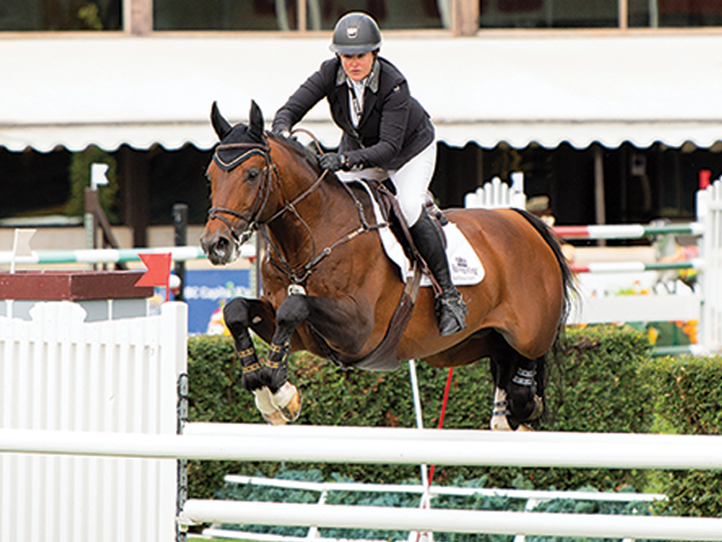 horse sport syndicates, costs of horsekeeping, how to buy a horse, affordability horse riding, tania millen, dana cooke equestrian, diana crawford kingfisher park, carousel ridge