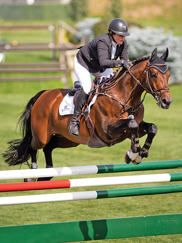 horse sport syndicates, costs of horsekeeping, how to buy a horse, affordability horse riding, tania millen, dana cooke equestrian, diana crawford kingfisher park, carousel ridge