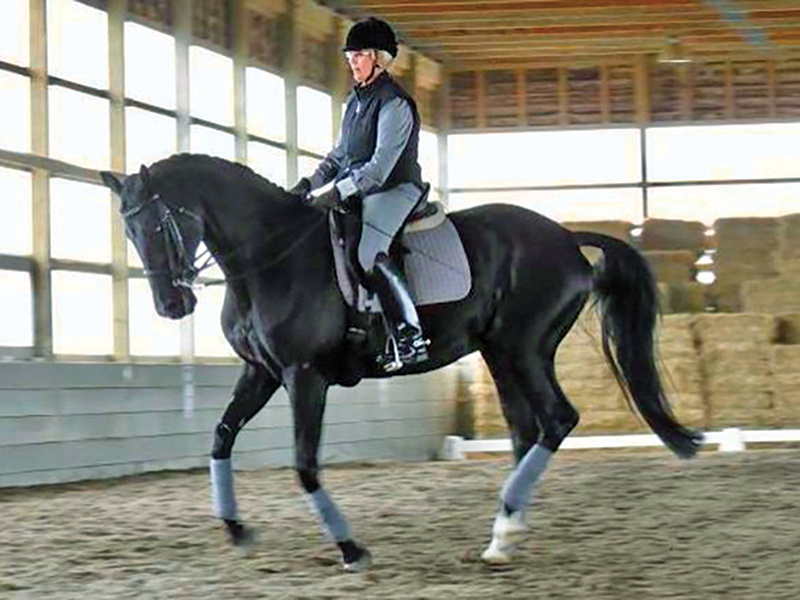 Sheila Skene dressage, Canadian dressage history, CADORA Victoria Saanich, Equestrian Canada dressage judge, dressage volunteers Canada, Canadian dressage community, dressage pioneers Canada, equestrian volunteer leadership