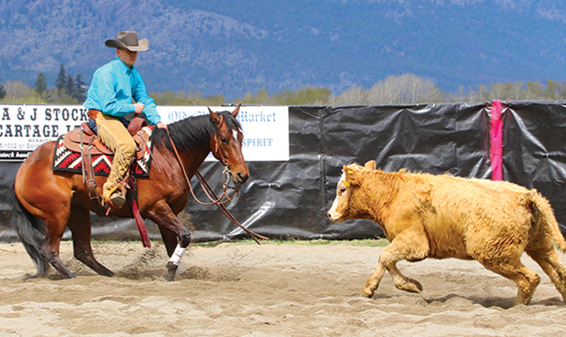 canter pirhouettes, cow horse stops, reining spin, footfalls reining, clix photography, tania millen, shawna sapergia, vern sapergia, cow horse turnaround, how to turn reining horse around, canter turns