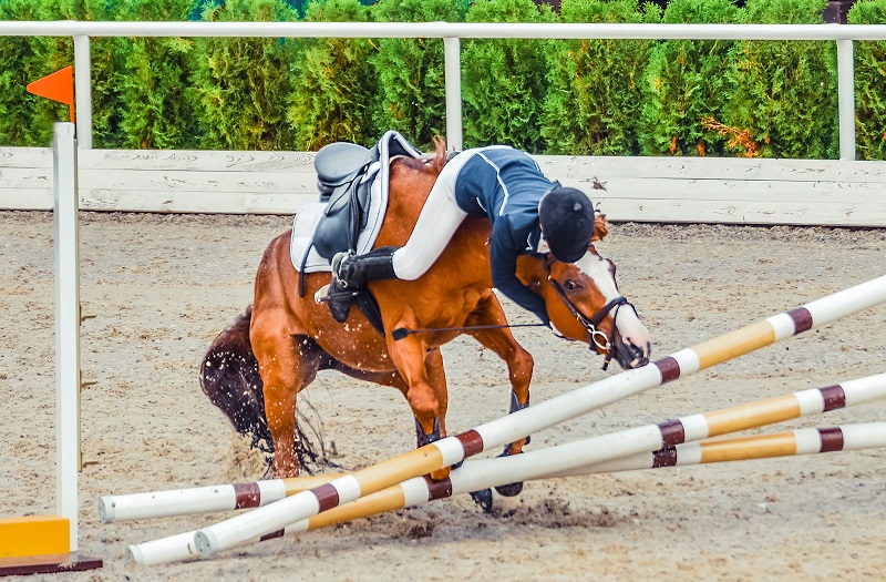 horse riding accidents, should i wear a riding helmet, how to safely ride a horse, gear for horse riding, beginner rider equipment, concussion horse riding, insurance for horse riding