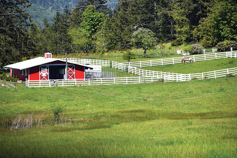 karen weslowski, legal contracts buying a horse property in canada, what to know when buying a horse property in canada