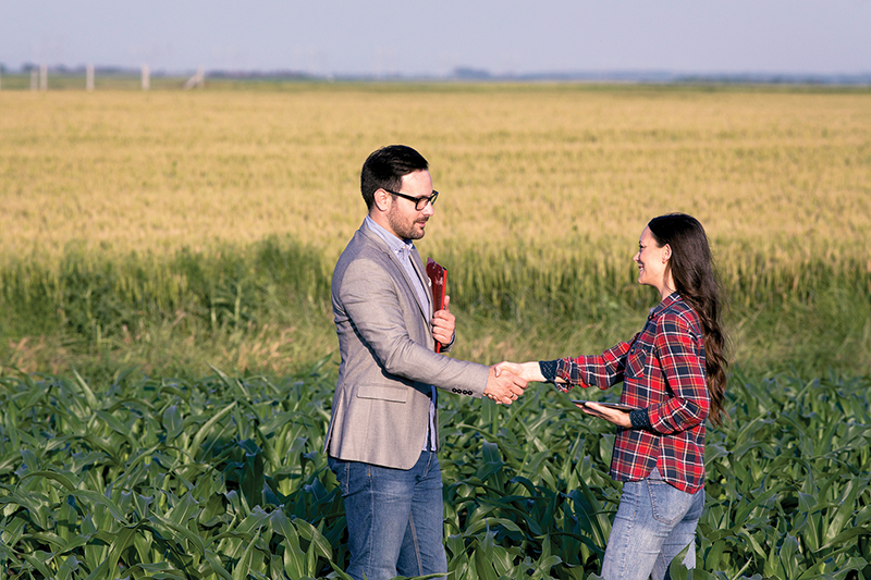 karen weslowski, legal contracts buying a horse property in canada, what to know when buying a horse property in canada