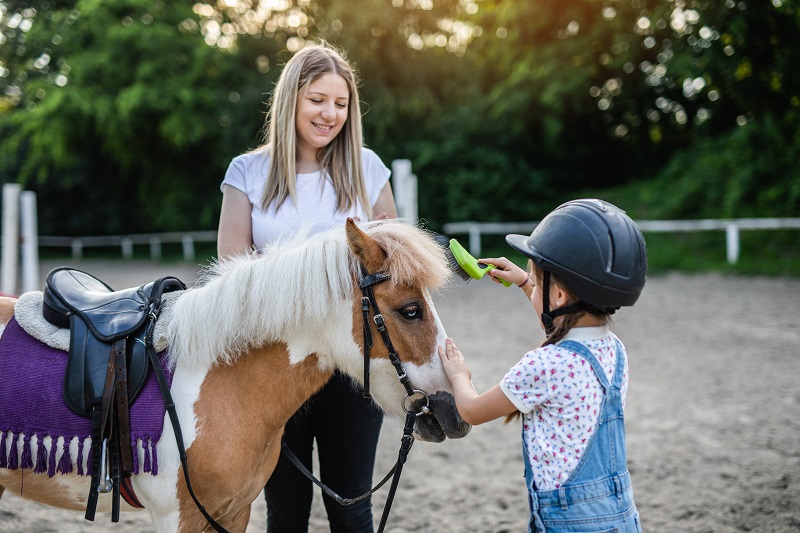 how to manage a horse and life, annika mcgivern, psychology of a horse rider, horse life balance