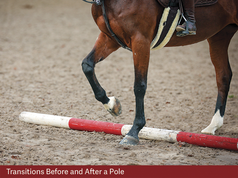 exercises for horses, jec ballou riding exercises, training horses with poles, pole exrcises horses