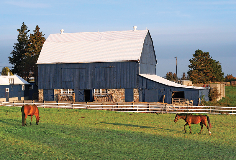 karen weslowski, legal contracts buying a horse property in canada, what to know when buying a horse property in canada