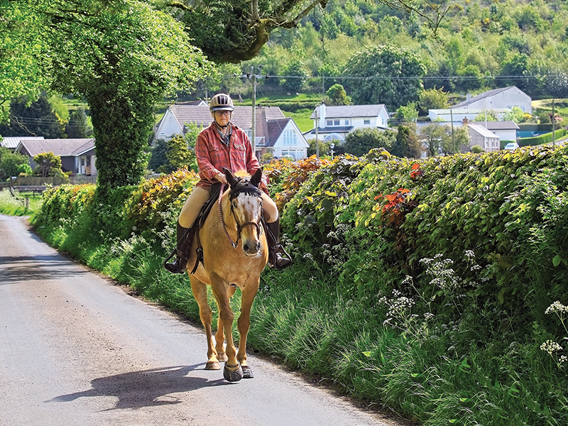 healthy horse hooves, nutrition for hoof care in horses, training exercises for strong hooves horse, jec ballou, best footing for healthy horse hooves