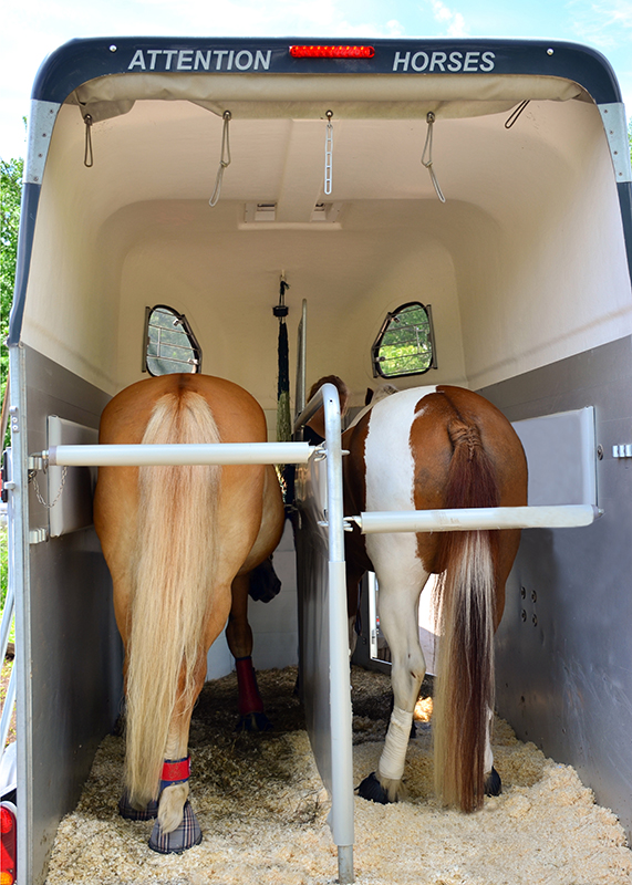 Inside Your Horse Trailer, horse to transport my horse safely, what type of horse trailer should i buy, best horse trailers, shipping fever, pleuropneumonia, kevan garecki
