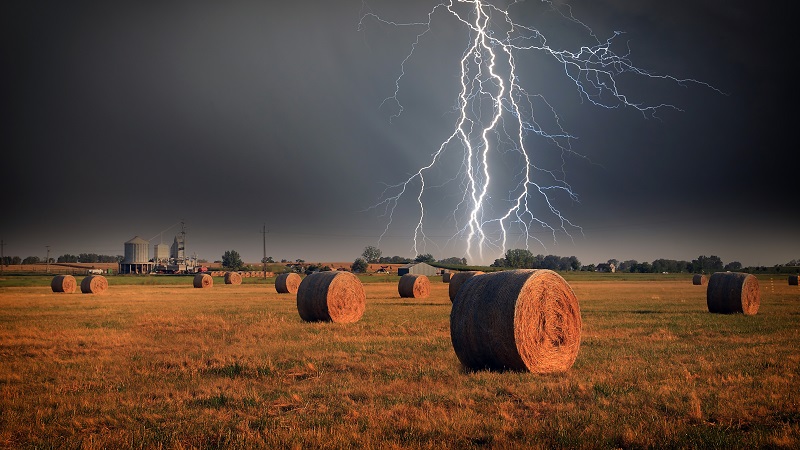 Insurance Coverage for horse industry, natural disaster insurance coverage, Homeowners’ Insurance Policy, horse barn fire coverage, mitigate insurance risks