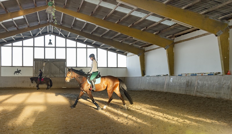 horse riding accidents, should i wear a riding helmet, how to safely ride a horse, gear for horse riding, beginner rider equipment, concussion horse riding, insurance for horse riding