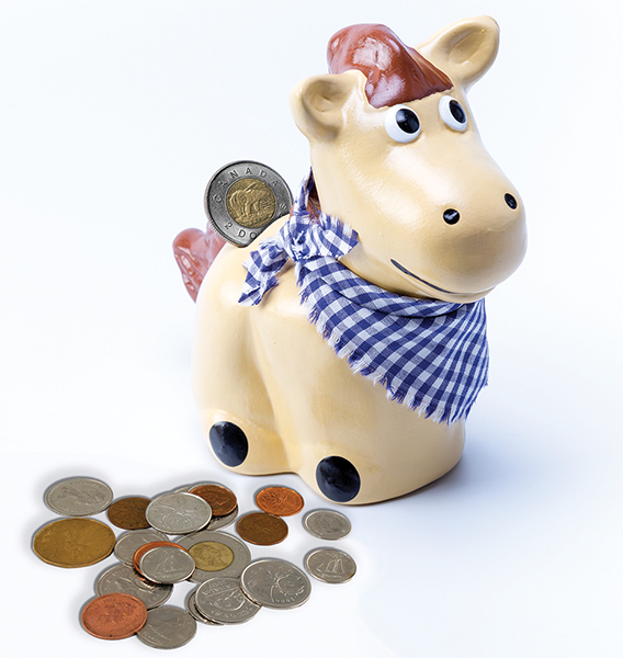 karen weslowski, legal contracts buying a horse property in canada, what to know when buying a horse property in canada