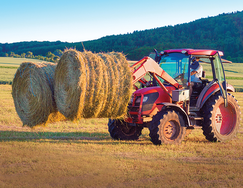 karen weslowski, legal contracts buying a horse property in canada, what to know when buying a horse property in canada