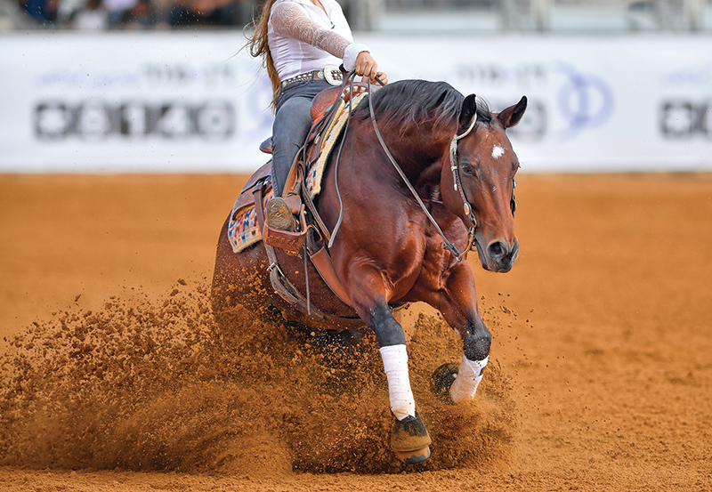 proper riding arena footing, ideal riding arena surfaces, White Paper Equestrian Surfaces, equestrian surfaces, riding arena irrigation systems, riding arena crystalline silica dust