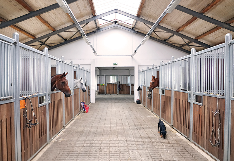 how do I find a contractor for horse barn? How to choose a contractor for horse barn, things to ask your potential horse barn contractor, building a horse barn