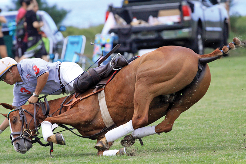 how to fall off of a horse, protect your child from horse accidents, riding a horse safely, land safe equestrian