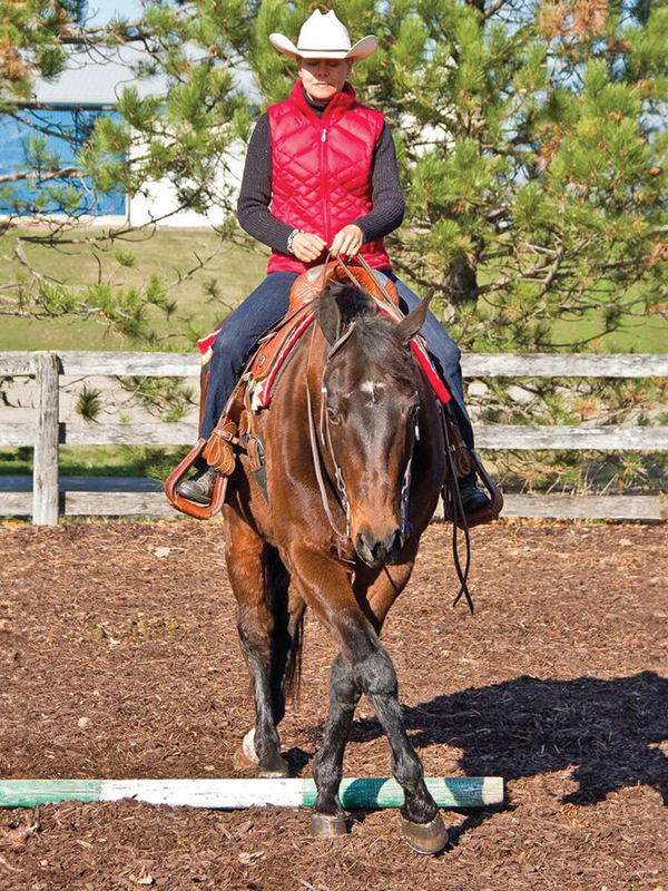 Sidepassing a horse, horse crossing legs, horse soft contact, lindsay grice horse training, backing obstacles with horses, sidepass obstacles with horses