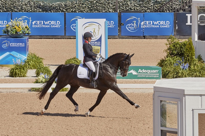  tryon world equestrian games 2018 Para-Dressage web Vaulting world equestrian games Jumping web Driving World Equestrian Games tryon equestrian centre, lauren barwick, sophie wells, Stinna Tange Kaastrup, kristina boe, lambert leclezio, simone blum, steve guerdat, boyd excel, chester weber