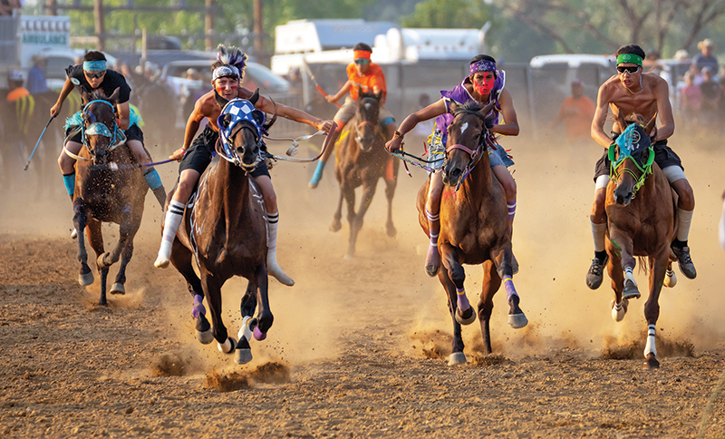 how to photograph horses, horse photography in motion, action photography horses, equine action photography, photography at horse events, photo of horse using phone, take best horse photos, how to take a conformation photo of horse, make horse look good in photo, shawn hamilton