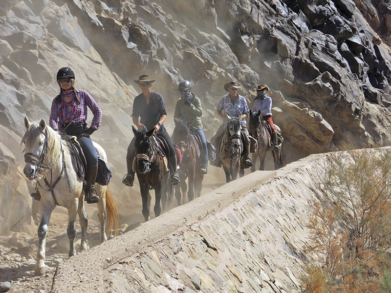 vacationing with horses, holidaying with horses, horse riding abroad, local horse riding, horse riding adventure, morocco sahara horses, tania millen