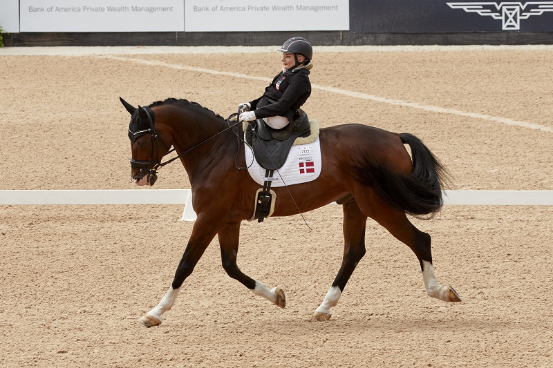  tryon world equestrian games 2018 Para-Dressage web Vaulting world equestrian games Jumping web Driving World Equestrian Games tryon equestrian centre, lauren barwick, sophie wells, Stinna Tange Kaastrup, kristina boe, lambert leclezio, simone blum, steve guerdat, boyd excel, chester weber