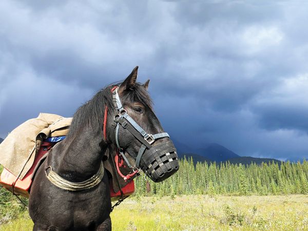 horse riding vacations in bc, holidays on horseback, muskwa-kechika horse rides, tania millen, wayne sawchuk