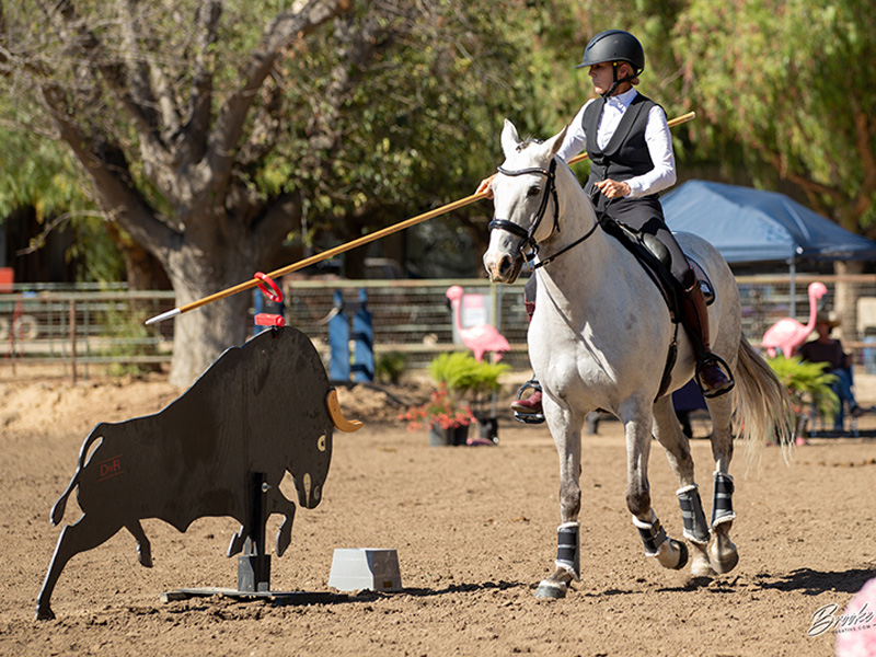 susanne zimmerman, Tania Millen, Working Equitation Canada, WECan, working equitation, Working Equitation World Championships, WAWE, Canada working equitation team, Canadian working equitation, equestrian sport Canada, horse sport Canada, Canadian equestrians