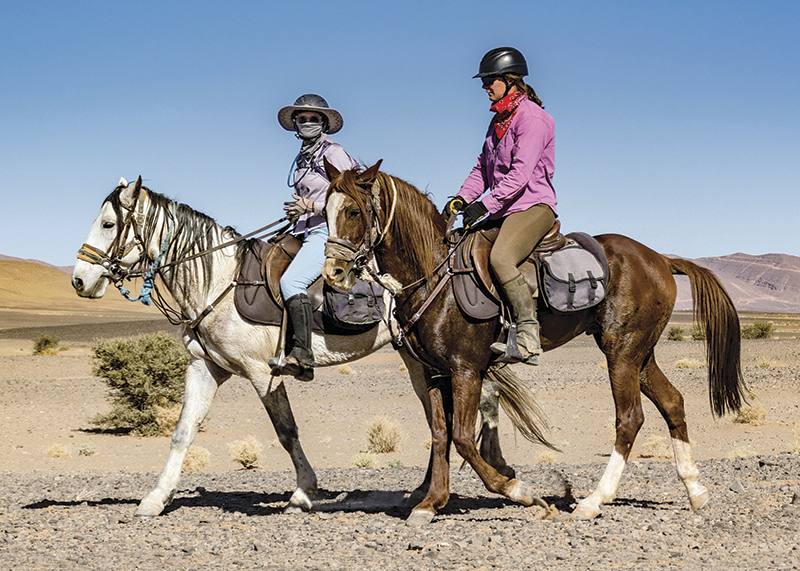 vacationing with horses, holidaying with horses, horse riding abroad, local horse riding, horse riding adventure, morocco sahara horses, tania millen
