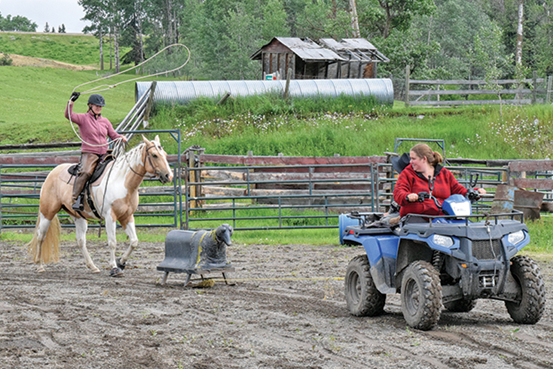how to rope a cow, roping with horses, cowboy roping, ross smith president canadian ranch roping association, 