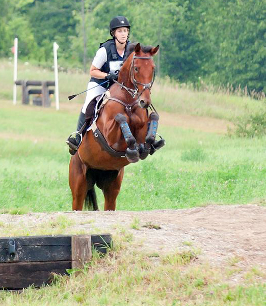 Retraining Thoroughbreds, new careers Thoroughbreds, Barbara Sheridan Equine Guelph, Garry Westergaard, Priscilla Clark Tranquility Farm, thoroughbred career change, Jocelyn Inglehart, Wendy Muir, Jane Avril 